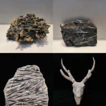 1630913995186865.png image.png